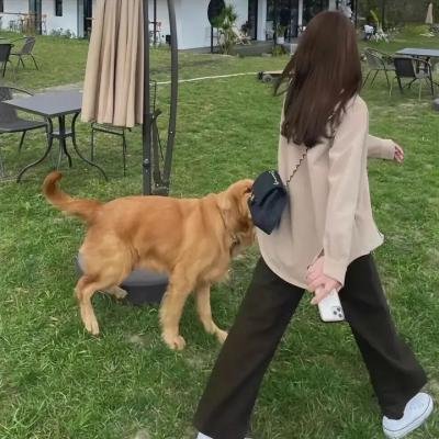 我最好的朋友会驱魔